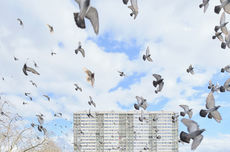 Die im dunkeln sieht man nicht   markus seibel  lowres