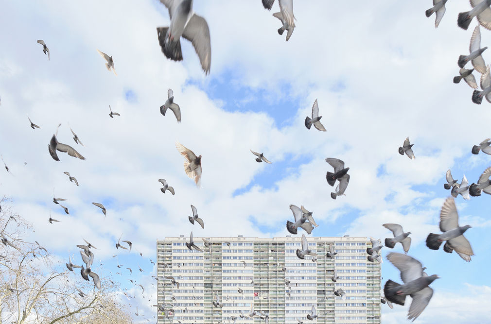 Die im dunkeln sieht man nicht   markus seibel  lowres