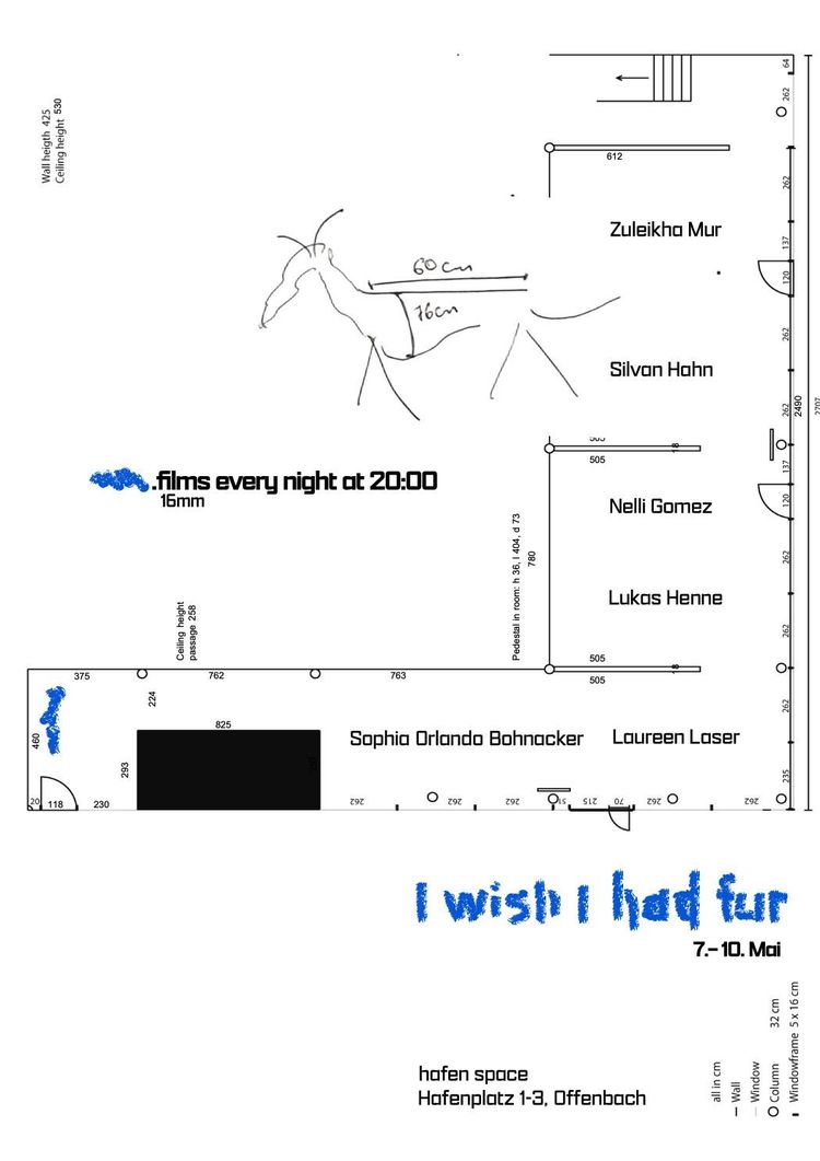 I wish i had fur plakat