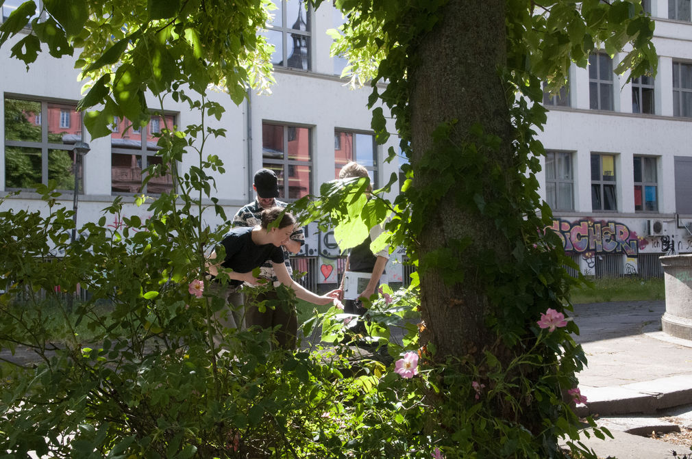 Susanne wieland fotocredit hfg green office 2