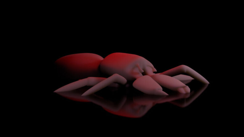 Ornamental hermit 2022 videostill wageheraufi 768x432